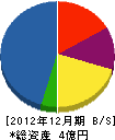 藤川電設工業 貸借対照表 2012年12月期