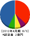 千葉工務店 貸借対照表 2012年4月期