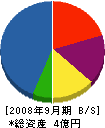沖山建設 貸借対照表 2008年9月期