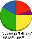 共同産業 貸借対照表 2009年12月期 共同産業 貸借対照表 2009年12月期