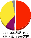 柳田塗装店 損益計算書 2011年6月期