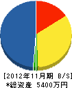 島脇電気商会 貸借対照表 2012年11月期