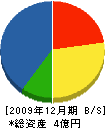 丸美佐藤組 貸借対照表 2009年12月期