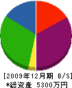 輝鷹 貸借対照表 2009年12月期