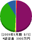 三栄電機 貸借対照表 2009年8月期