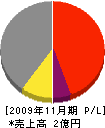 大竹工業 損益計算書 2009年11月期