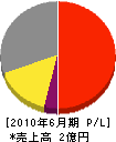 江川工業 損益計算書 2010年6月期