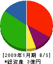山一エンジニアリング 貸借対照表 2009年1月期