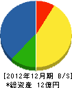 新潟環境サービス 貸借対照表 2012年12月期