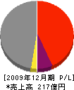 新井組 損益計算書 2009年12月期