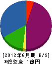 山善 貸借対照表 2012年6月期