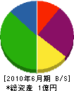 鐘芳商会 貸借対照表 2010年6月期