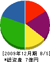丸勝小野商事 貸借対照表 2009年12月期