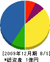 田口塗装工業 貸借対照表 2009年12月期