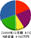 伊豆造園土木 貸借対照表 2009年12月期