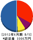 藤井工務店 貸借対照表 2012年6月期