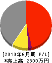 渡辺建設 損益計算書 2010年6月期