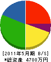 梅沢電気商会 貸借対照表 2011年5月期