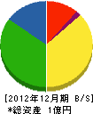 塚川建設 貸借対照表 2012年12月期