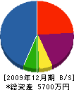 成板工業 貸借対照表 2009年12月期