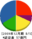ホシザキ中国 貸借対照表 2009年12月期