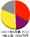 松永工務店 損益計算書 2011年6月期