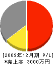 静央電業 損益計算書 2009年12月期