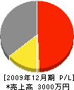 静央電業 損益計算書 2009年12月期 静央電業 損益計算書 2009年12月期
