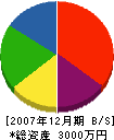 ニムラ工業所 貸借対照表 2007年12月期