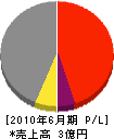 藤田組 損益計算書 2010年6月期