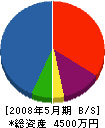 びわ緑化 貸借対照表 2008年5月期