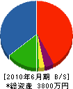 中日本緑化 貸借対照表 2010年6月期