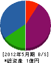 嶋田電気工事 貸借対照表 2012年5月期