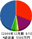 松村造園 貸借対照表 2009年12月期