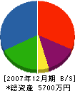 神谷技建 貸借対照表 2007年12月期
