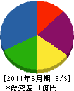 辻野組 貸借対照表 2011年6月期