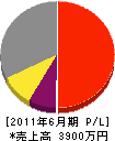 琉電工業社 損益計算書 2011年6月期