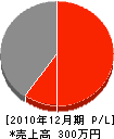 岩崎興業 損益計算書 2010年12月期