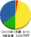 飯塚緑地 貸借対照表 2013年1月期