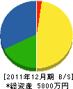 南伸電工 貸借対照表 2011年12月期