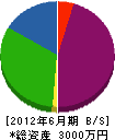 松本電工 貸借対照表 2012年6月期