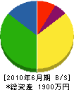 大崎産業 貸借対照表 2010年6月期