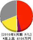 串本鋼材 損益計算書 2010年6月期