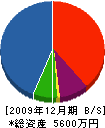 魁興業 貸借対照表 2009年12月期