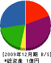 長谷川電気土木 貸借対照表 2009年12月期