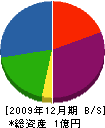 長谷川電気土木 貸借対照表 2009年12月期 長谷川電気土木 貸借対照表 2009年12月期