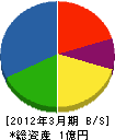 大牟田電設 貸借対照表 2012年3月期