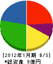 松本薬品 貸借対照表 2012年1月期