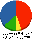 岩崎工務店 貸借対照表 2009年12月期