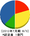 坂本電気商会 貸借対照表 2012年7月期